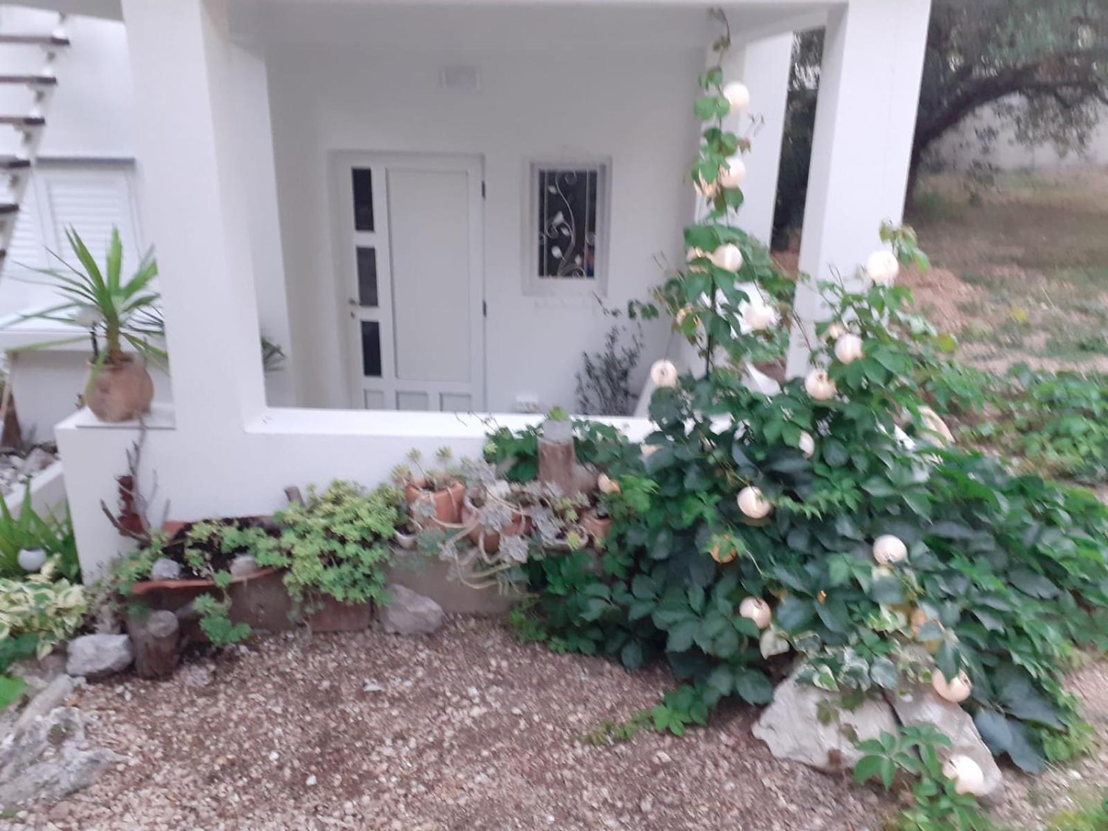 Villa Ana Makarska Phòng bức ảnh